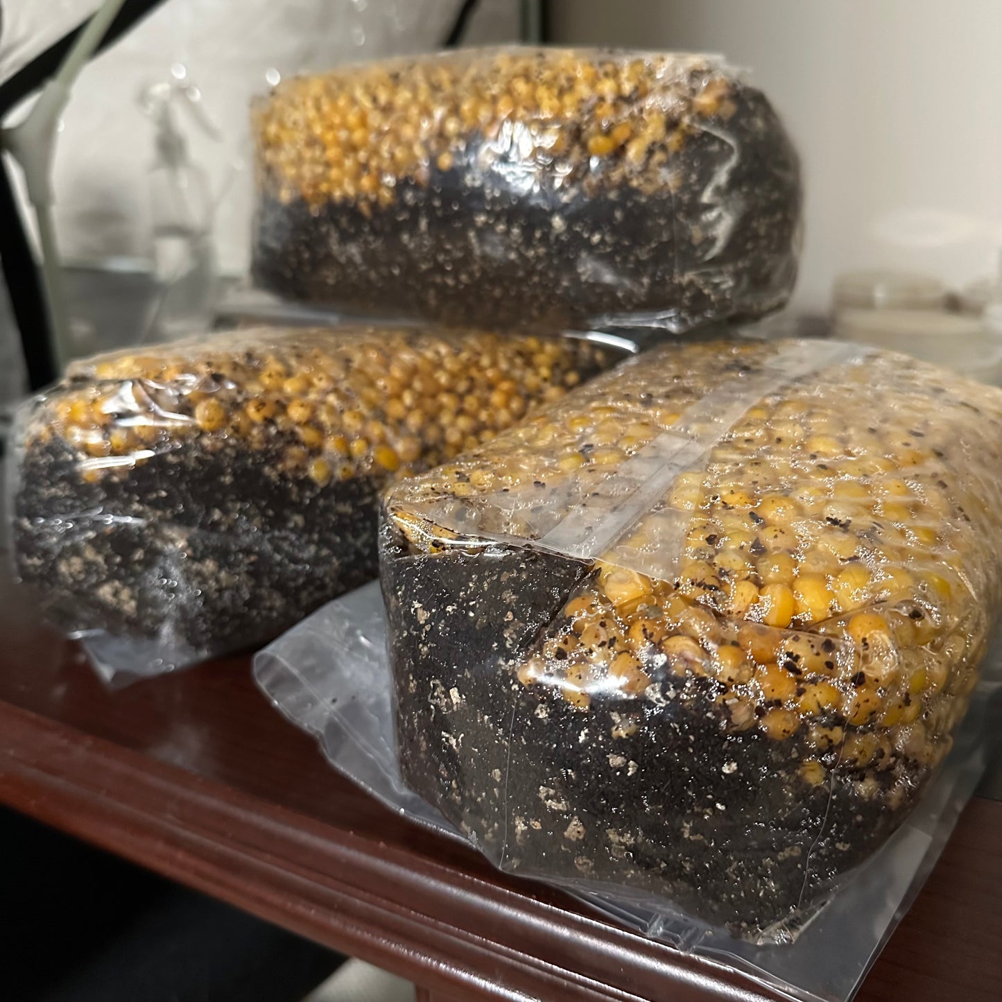 Corn all in one grow bag