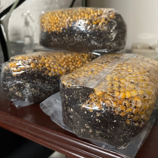 Corn all in one grow bag